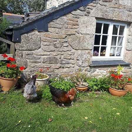 Borea Barn Vegetarian B&B St Ives Kültér fotó